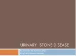 Urinary stone disease - slide 1