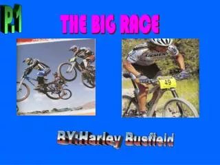 THE BIG RACE