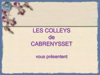 les colleys de cabrenysset vous pr sentent