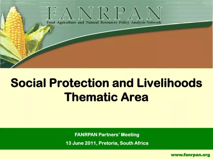 social protection and livelihoods thematic area