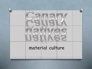 Canary natives