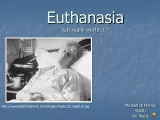 Euthanasia is it really worth it ?
