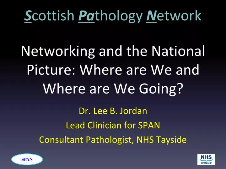 networking and the national picture where are we and where are we going