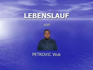 lebenslauf