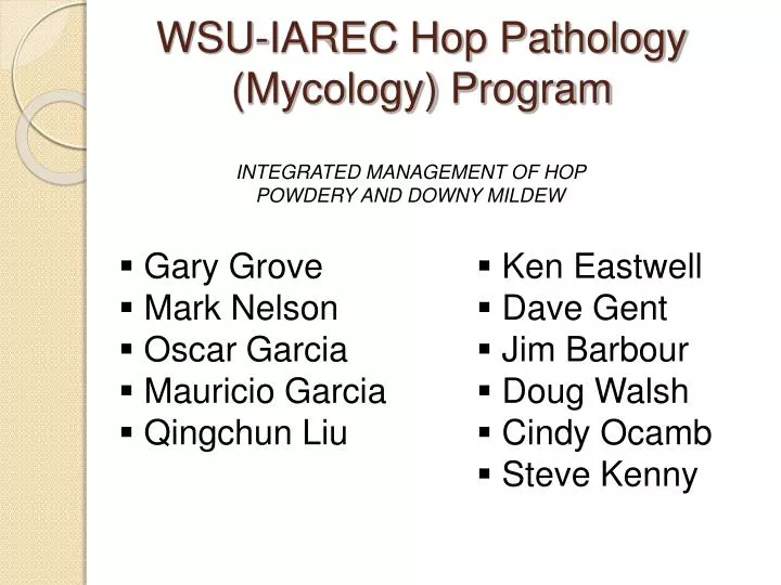 wsu iarec hop pathology mycology program