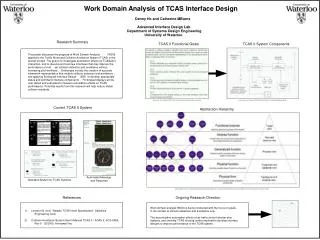 Work Domain Analysis of TCAS Interface Design