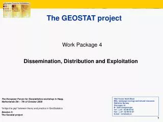 The GEOSTAT project