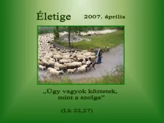 Életige