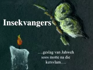 insekvangers