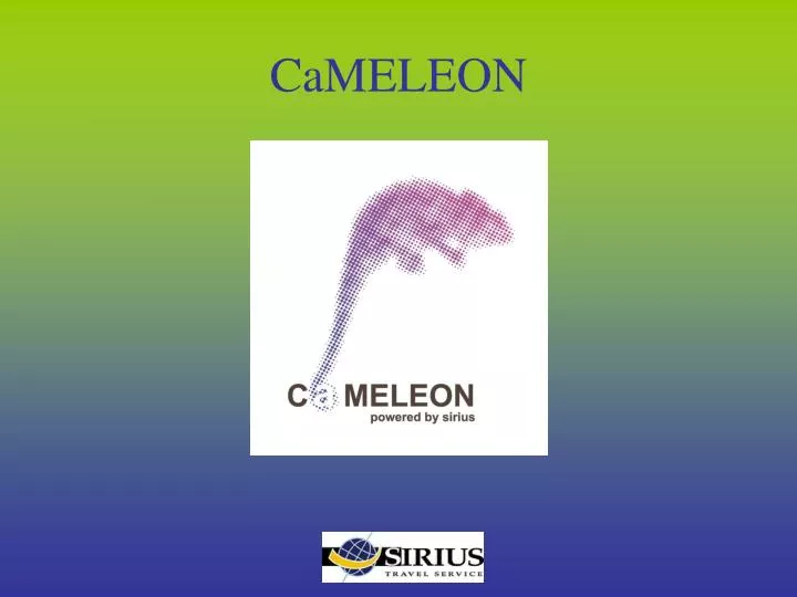 cameleon