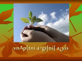 vnap tni a gi ni a yis