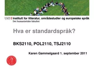 hva er standardspr k