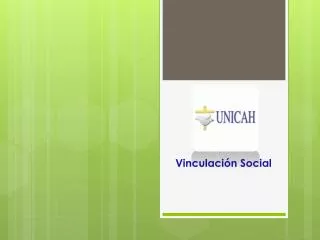 vinculaci n social