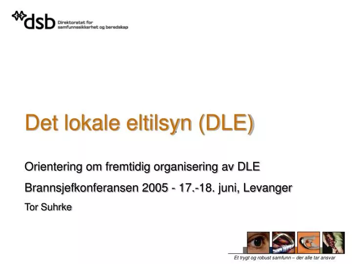 det lokale eltilsyn dle