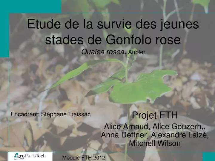 etude de la survie des jeunes stades de gonfolo rose qualea rosea aublet