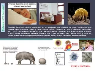 virus y bacterias