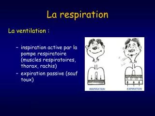 la respiration