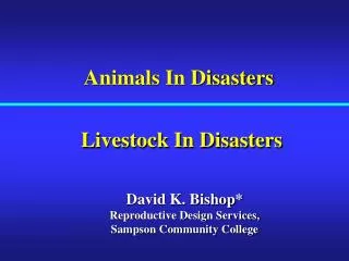 Animals In Disasters