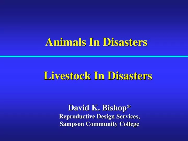 animals in disasters