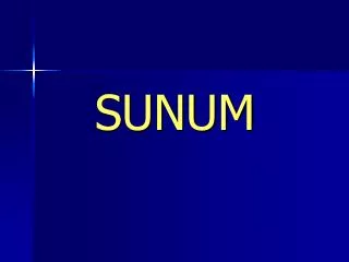 sunum