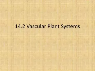 14.2 Vascular Plant Systems