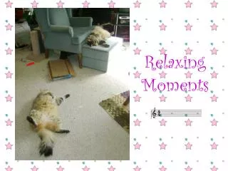 relaxing moments