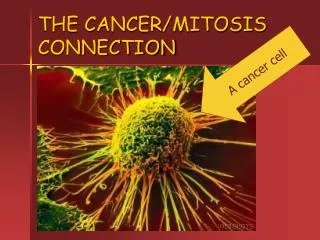 THE CANCER/MITOSIS CONNECTION