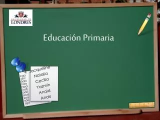 educaci n primaria