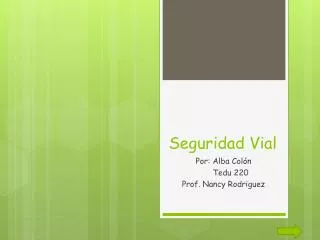 seguridad vial