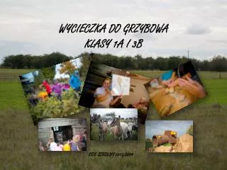 wycieczka do grzybowa klasy 1a i 3b