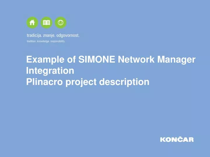 example of simone network manager integration plinacro project description