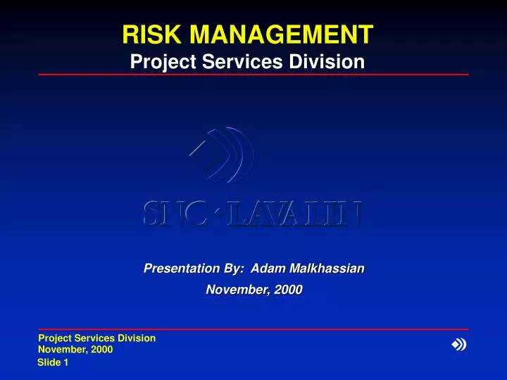 risk management project services division