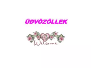 dv z llek