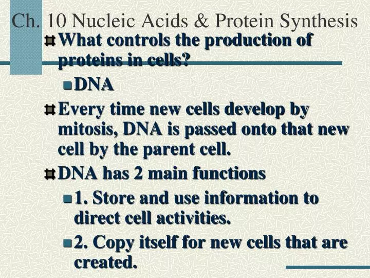 Ppt Ch 10 Nucleic Acids And Protein Synthesis Powerpoint Presentation Id 5024803