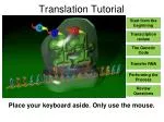 Understanding the Process of Translation: From Transcription to Protein Synthesis - slide 1