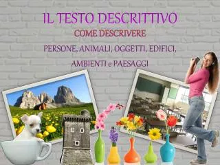 il testo descrittivo
