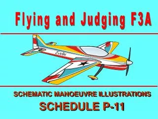 Flying and Judging F3A