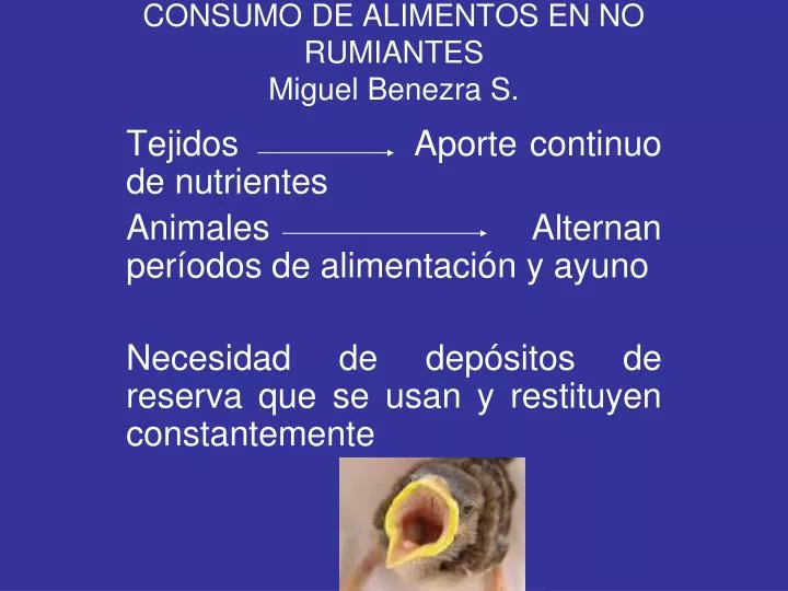 consumo de alimentos en no rumiantes miguel benezra s