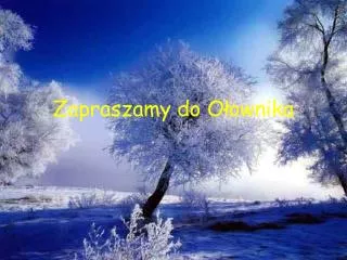 zapraszamy do o ownika