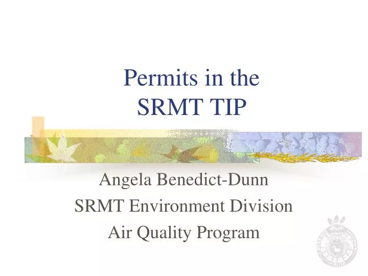 permits in the srmt tip