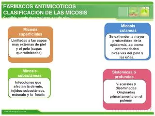 FARMACOS ANTIMICOTICOS CLASIFICACION DE LAS MICOSIS Candida puede desarrollarse a todo nivel