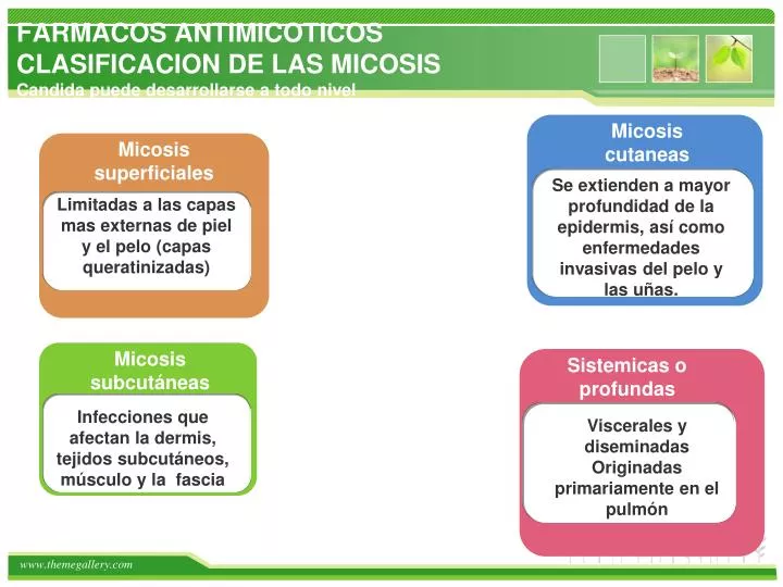farmacos antimicoticos clasificacion de las micosis candida puede desarrollarse a todo nivel