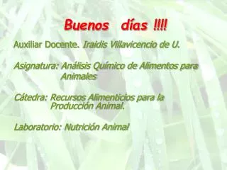 buenos d as