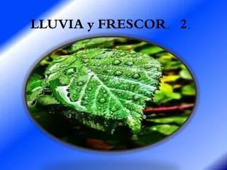 lluvia y frescor 2
