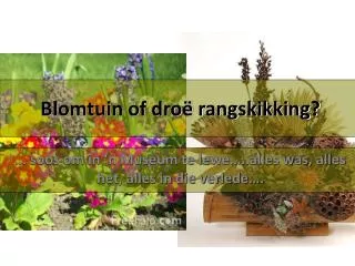 blomtuin of dro rangskikking