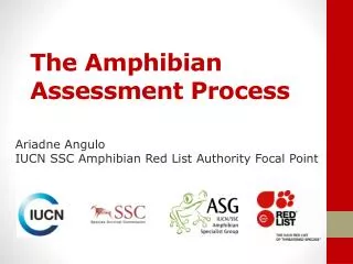 The Amphibian Assessment Process