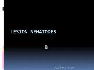 Lesion Nematodes