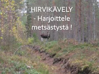 hirvik vely