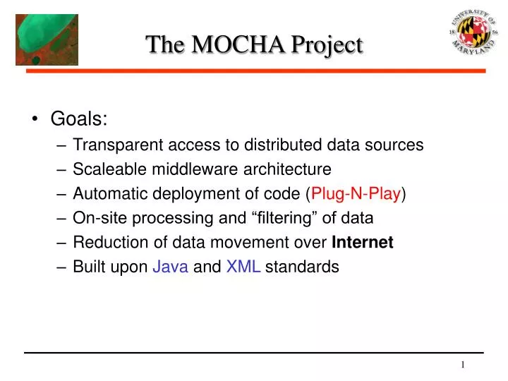 the mocha project