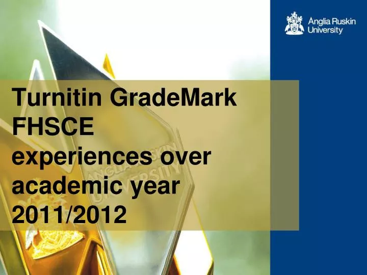 turnitin grademark fhsce experiences over academic year 2011 2012
